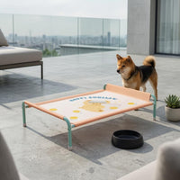 Raised Pet Cot Breathable Elevated Dog Bed Metal Frame for Indoor