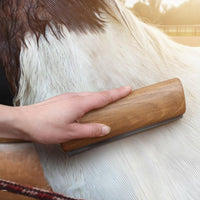 Serrated Horse Easy to Clean Grooming Tool for Barn, Riding Arena