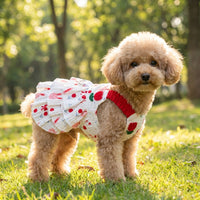 Pet Dress and Cat Dress with Ruffled Tiered Skirt, Thin Strap Dog Skirt, Summer Dog Clothes for Small Dog Outdoor Sun Protection Clothing