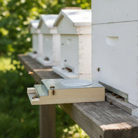 Entrance Feeder Long-Lasting Entrance Bee Colony Feeder Sturdy for Beekeeping