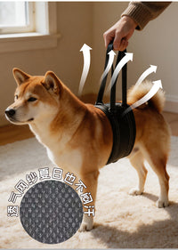 狗狗辅助带老龄犬上楼腿部背带走路狗腿护残疾疾复带跨境代发XJ