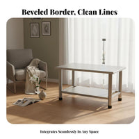 Double-Level Rectangular Stand Modern Design Coffee Table Minimalist Aesthetic Easy to Clean for Renters, Adults