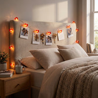 Fairy Lights with Clips Battery Operated LED Fairy Lights with Clips Flexible Copper Wire Lighted Clothespin Garland for Families, Wedding,Easter party