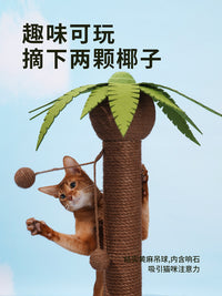 zeze椰树猫抓板立式麻绳猫抓柱猫爪板不掉屑可爱猫玩具猫咪用品