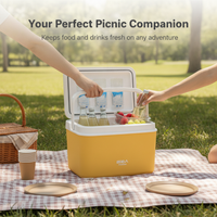 Portable Insulated Cooler Box with Ice Packs for Outdoor Camping Fishing Car Travel