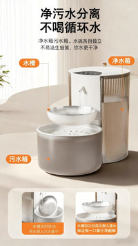 Smart Constant Temperature Pet Water Dispenser with 3L Capacity