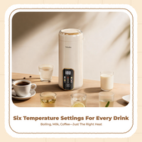 Portable steam iron, quick heat