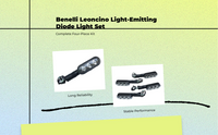 Leoncino waterproof LED turn signal
