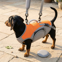 Cat Walking Bag Front Sling Outdoor Pet Carrier, Breathable Pet Bag with Side Pockets, Polyester Cat Outing Bag for Small Dogs Travel Hiking