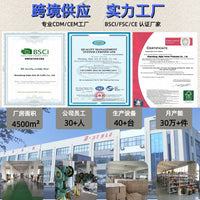 亚马逊热销轻奢创意洒壶园林植物复古不锈钢淋花浇水壶