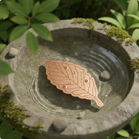 Bird Bath Disk Included Birdbath Purification Disc Easy to Place