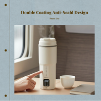 316 stainless steel travel kettle