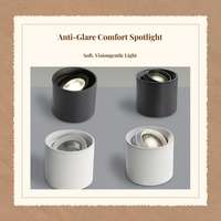 LED Ceiling Spotlight, Adjustable, Anti-Glare, Modern Accent