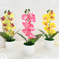 Artificial Bloom Plant Maintenanceno-Maintenance Phalaenopsis Flower Pot