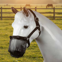 Horse Nose Guard Lightweight Horse Muzzle Mesh Bridle Compatible for Stable