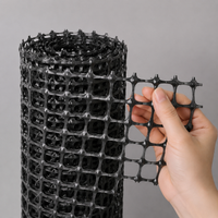 Plastic Mesh, Bird Netting, 2m×50m, Black, 3.5cm Mesh, Chicken Farming, Gardening Fence Net