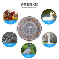 全自动高精度家用小型鹦鹉丝雀恒温孵蛋孵化器恒温控温自动孵化机