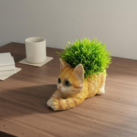 Kitten Flower Pot Decorative Ornament Cat Shaped Planter for Desktop, Gardeners