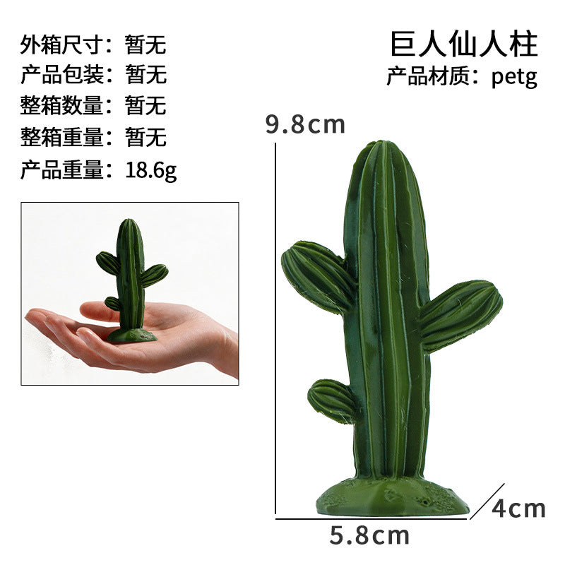 Saguaro Cactus
