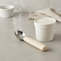 Rechargeable Melting Spoon Adjustable Temperature Dessert Tool for Parties