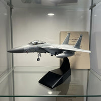 1/100 Scale F-15C Model Highly Detailed Diecast Fighter Jet for Office Decor