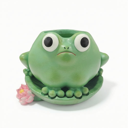 Plant Planter Cute Frog Planter Whimsical for Gardeners