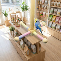 Parrot Toy Bird Stand with Multi-Directional Arms, Wooden Perch Toy and Macaron Set, Screw Mount Entertainment for Small Medium Birds
