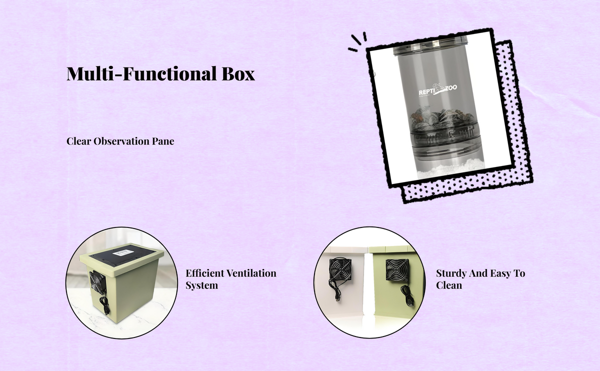 Ventilated box for cricket breeding.