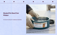 Pet Heated Water Bowl, Automatic Outdoor Drinking