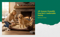 Orthopedic dog bed, removable cover