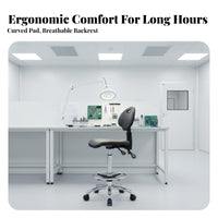 Anti-Static Laboratoryoratory Chair Easy to Clean Wheeled High-Stool With