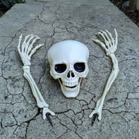 3 Pieces Bone-Colored Skull and Skeleton Arms Outdoor Skeleton Arm Stakes Spooky Halloween Lawn Stakes Scary