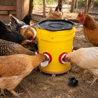 Automatic Chicken Feeder 10L For Poultry Farmers Home Use Plastic Automatic Feeder Chick Feeder