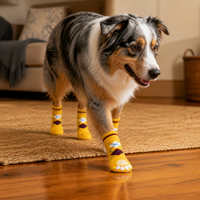 Pet Dog Anti-Slip Indoor Socks for Small Dogs - Teddy, Bichon, Puppy Paw Protection