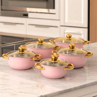 Induction Hob Saucepan Set, 10-Piece Stainless Steel Pots and Pans Set for Home Cooking, Kitchen Cooking Steel Pots with Gold Handles, Gift