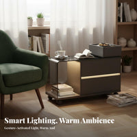 2-Tier Rolling Side Table Movable with casters Home Furnishing Light Luxury Multifunctional for Office Workers, Adults, Kitchen