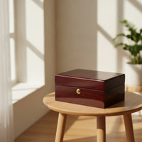 Watch Box with Pillow Hinged Case Sophisticated for Office