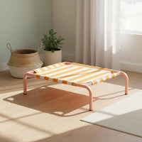 Breathable Raised Dog Bed Long-Lasting Portable Pet Cot Easy to Clean for Summer