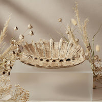Decorative Shell-Shaped Fruit Tray Unique Design Fruit Tray Multi-Use Home Decor