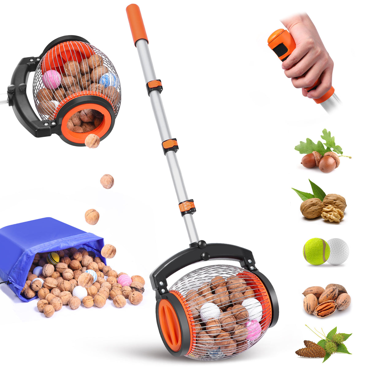 Fruit Picker with Side-Dump Nut Collector for Walnuts, Chestnuts, Golf Balls, and Ping Pong Balls