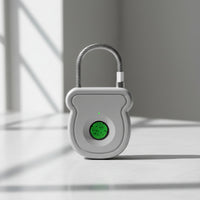 Biometric Padlock Keyless Biometric Padlock Small Lock for Commuters, Students, Gym Lockers, Travel Bags, School Dorms