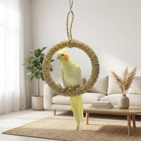 Cockatiel Toy and Budgie Toy Rope Swing Toy, Circular Climbing Toy for Small Parakeets Cockatiels, All Rope Hanging Perch without Noisy Bells