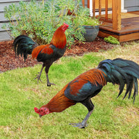 Outdoor Garden Rooster Acrylic Yard Art Decoration