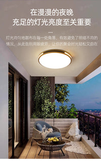 别墅大门口吸顶灯农村自建房庭院屋檐入户门阳台室外防潮防虫灯具 【防潮防虫】圆/36W/40cm/三色变光