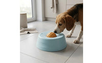 Dog Lick Bowl Interactive Pet Feeding Calming