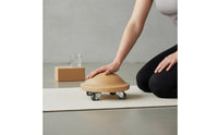 Turtleback Glider Effortless Gliding Spine Stretching Disc Silent Wheels