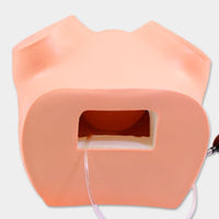 Gynecological Training Model Rounded Torso Shape Gynecological Exam Model