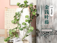 仿真植物摄影道具绿化酒店婚礼派对装饰金钱叶藤藤条仿真花