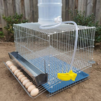 Button Quail Cage with Droppings Tray and Foot Pads, Metal Wire Cage for Home Breeding, Suitable for Quails and Livestock Industry Use