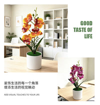 仿真5朵蝴蝶兰盆栽假花仿真花居家办公装饰场景布置摄影绿植道具